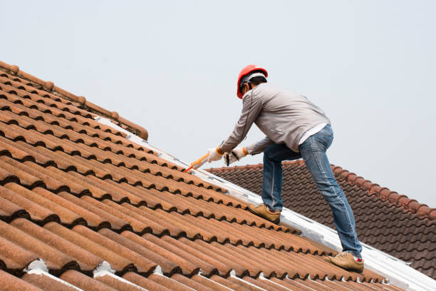 Best Roof Ventilation Installation  in Brooklyn Park, MN